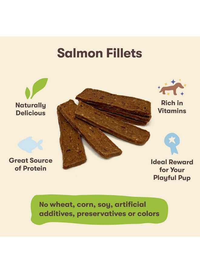 Pet 'n Shape Salmon Fillets, 16 oz - Healthy, Protein Rich Treats for Dogs - Image 2