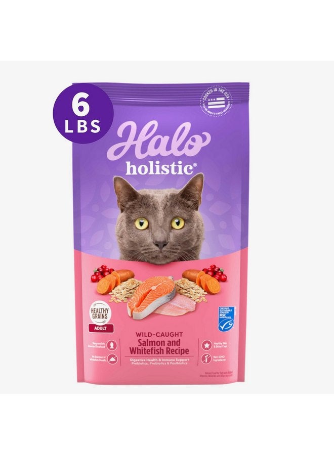Halo Holistic Cat Food Dry, Wild-caught Salmon and Whitefish Recipe, Complete Digestive Health, Dry Cat Food Bag, Adult Formula, 6-lb Bag - Image 1