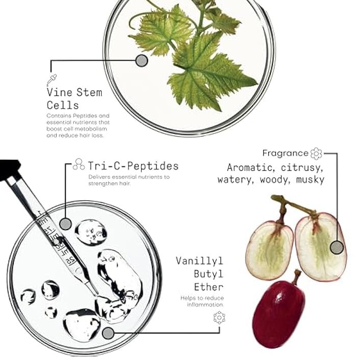 Framesi Morphosis Reinforcing Shampoo 8.4 fl oz, Volumizing Shampoo for Oily Scalps - Image 5