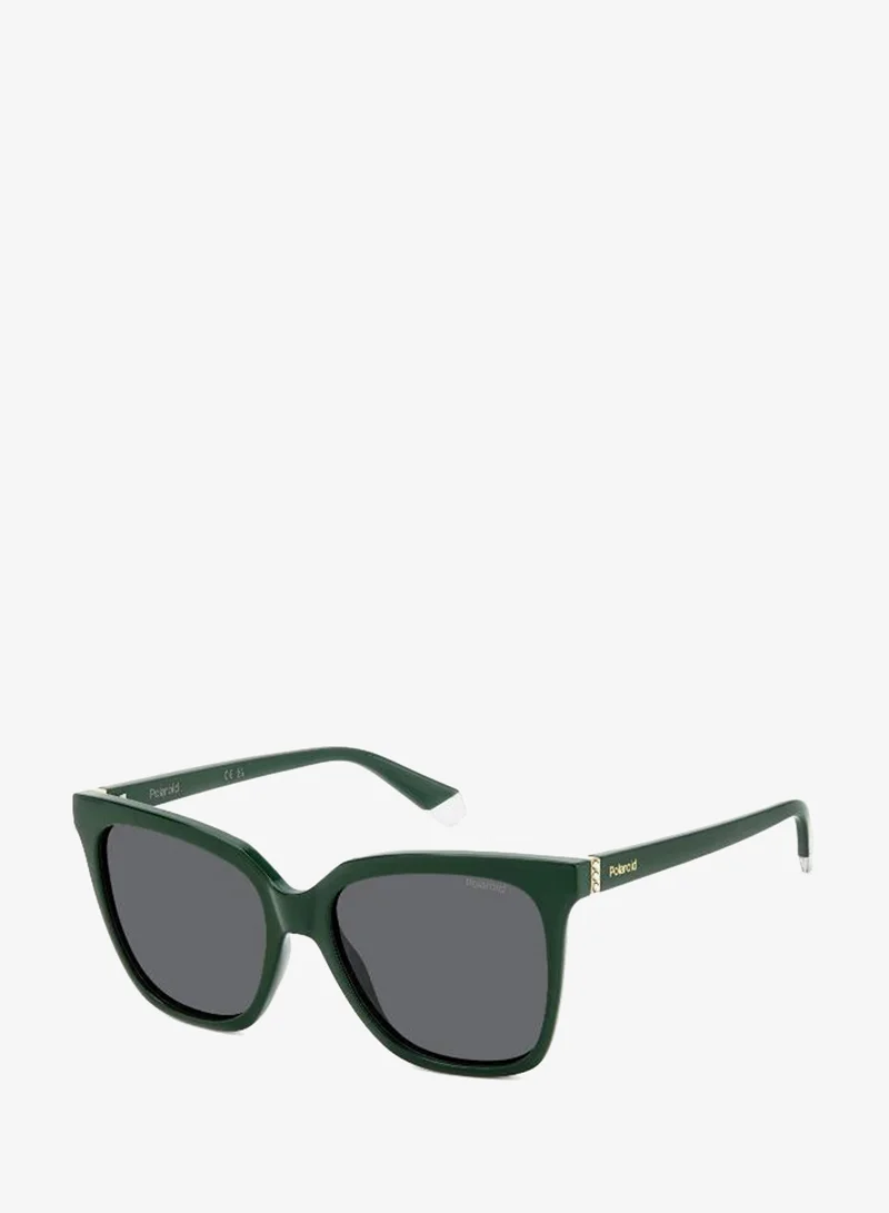 Polaroid  Square Polaroid Sunglasses Frames for Women | Best Price UAE