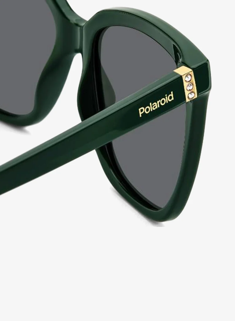 Polaroid  Square Polaroid Sunglasses Frames for Women | Best Price UAE