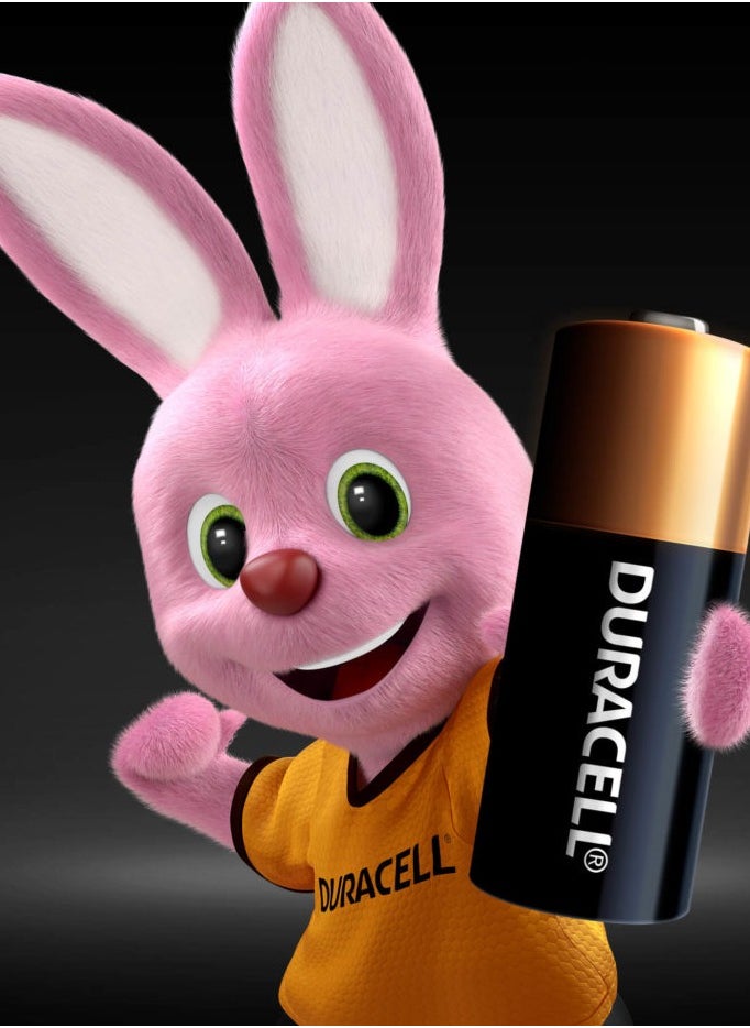 Duracell - Duracell MN21 / A23 12V Alkaline Batteries - Pack of 2 - Image 1