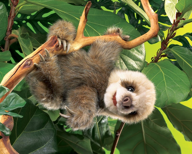 Folkmanis Baby Sloth Hand Puppet - Image 2