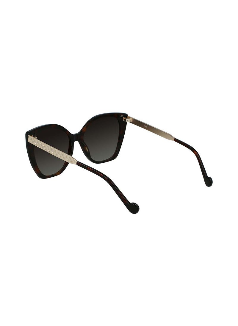 Full Rim Acetate Modified Rectangle Sunglasses LJ752S 5617 (206) - pzsku/Z67FCBDC73FC08D90359BZ/45/_/1662123488/c6af4a44-abf9-4441-8022-80daeef500c2