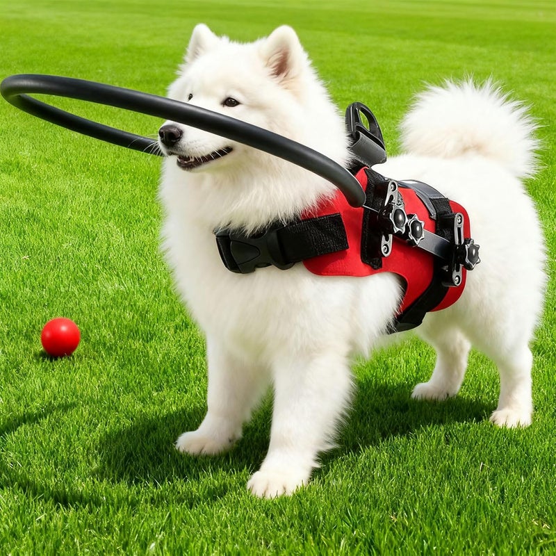 Visually Impaired Pet Barrier Collar Adjustable Mobility Aid Crush Padded Dog Barrier - Image 2