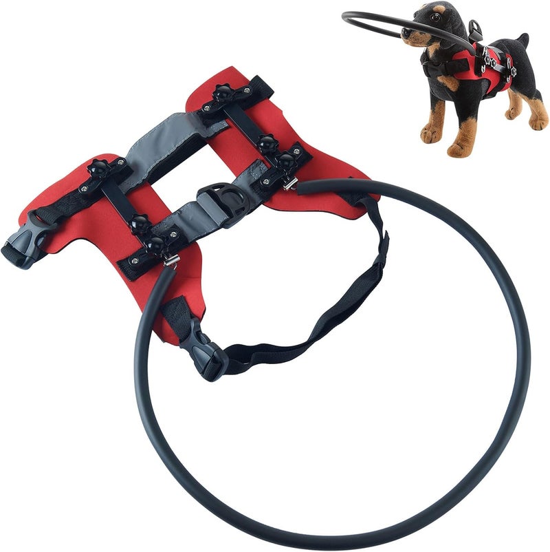 Visually Impaired Pet Barrier Collar Adjustable Mobility Aid Crush Padded Dog Barrier - Image 3