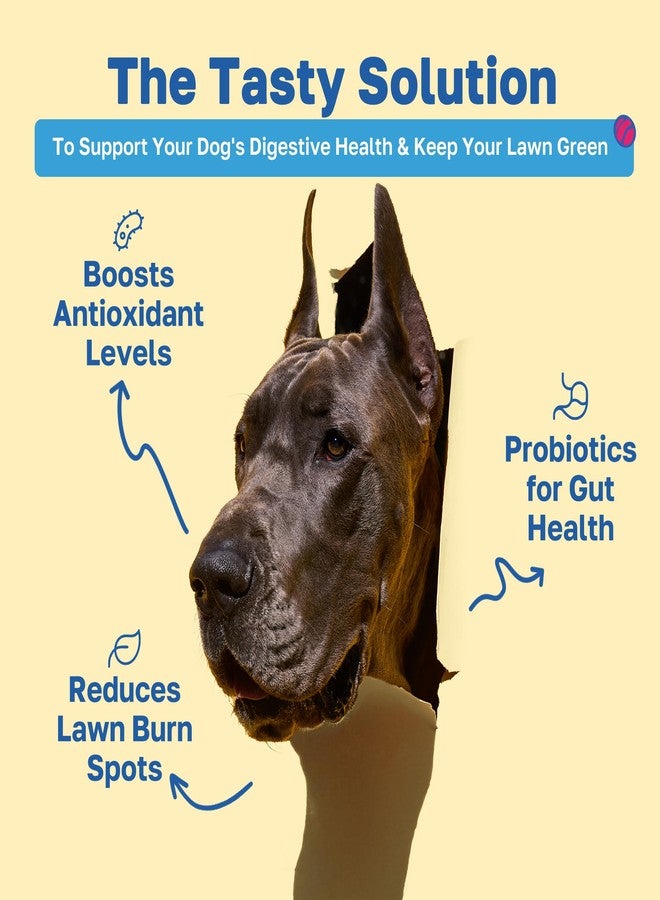 Happy Paws Lawn Saver Supplement for Dogs, Helps Grass Stay Green, Digestive Health Support for All Breeds & Ages with Probiotics & Antioxidants, Vegan Chicken Flavor, Organic, Non GMO, 100 Soft Chews - Image 2