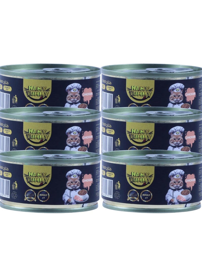 هامي يامي طعام قطط رطب بنكهة الدجاج للقطط البالغة - 6 علب بوزن 85 جرام - صناعة تركية  - Image 1