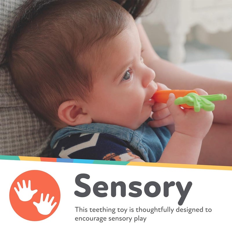 Nuby Silicone Carrot Tube Teether  Baby Teething Toy  Massaging Bristles for Sore Gums  3 Months - Image 2
