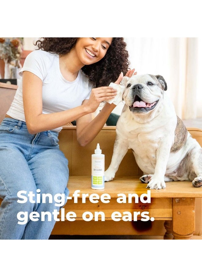 Oxyfresh - Advanced Pet Ear Cleaner  Best Dog Ear Cleaner Solution  Helps With Yeast, Wax, Dirt & Itchy Ear Canal  Cleaning, Soothing, & StingFree Dog Ear Wash & Cat Ear Cleaner 8Oz - Image 1