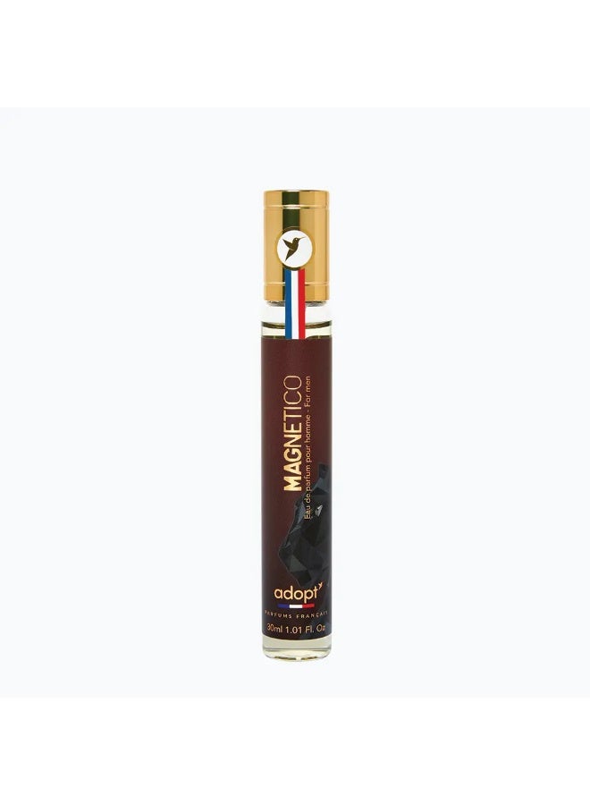 adopt Magnetico - EDP - Image 3
