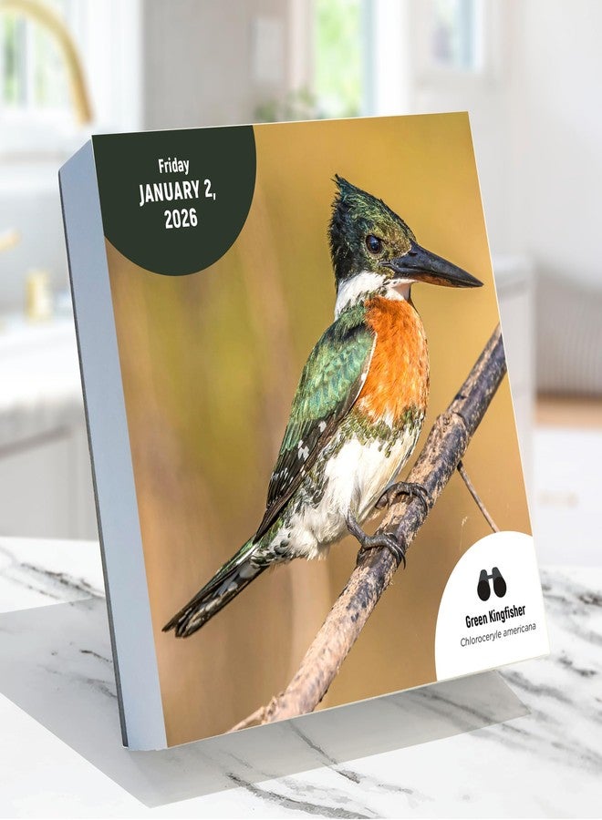 TF Publishing 2026 Birds: Backyard & Beyond Daily Desktop Calendar - Home and Office Organization - Small Desk Calendar 2026 w/Full-Color Tear-Off Pages and Standing Cardboard Easel - 5.25in x 5.25in - Image 4