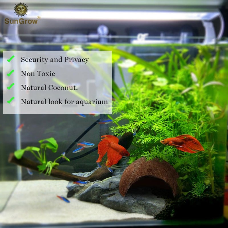 SunGrow Betta Fish Cave, Habitat Made from Coconut Shell, Soft-Textured Smooth Edged Spacious Hideout, for Resting and Breeding, 1 Pc - Image 3