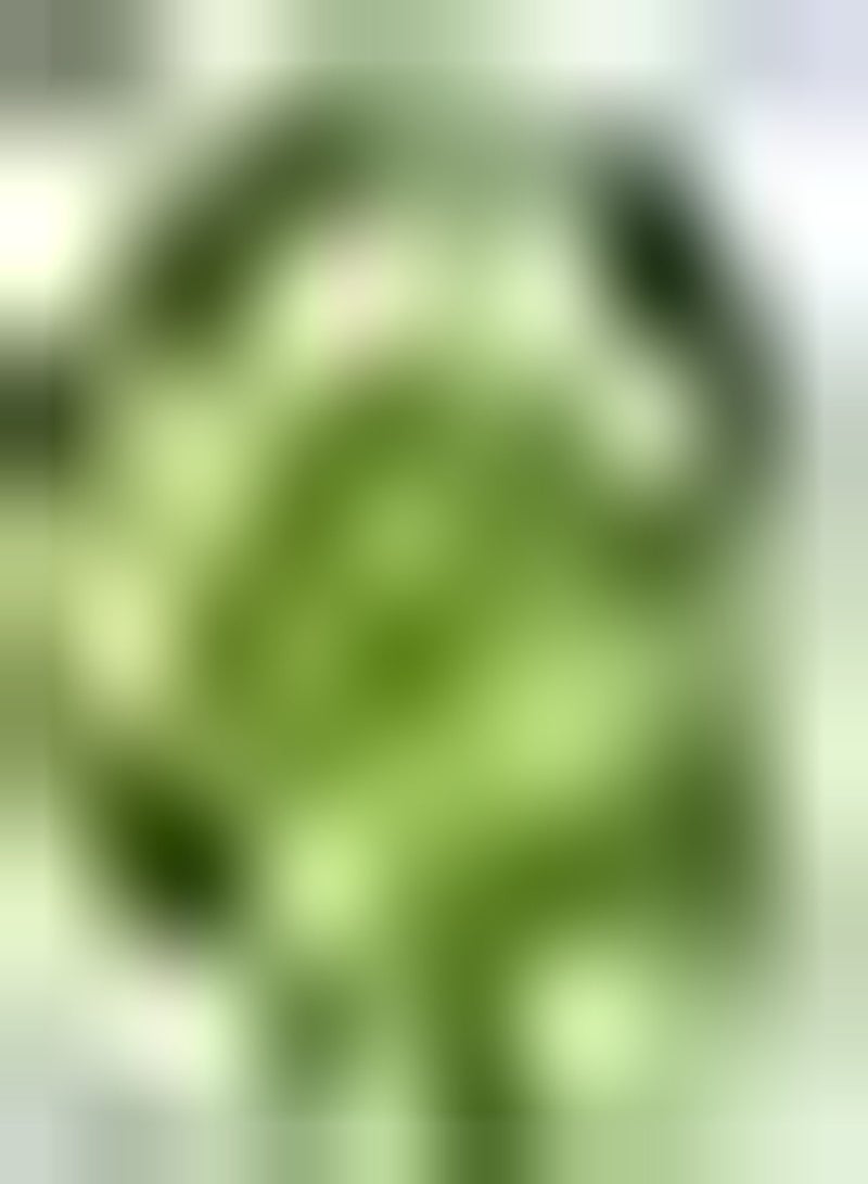 GGOOT 300pcs graines d'épinards pures naturelles exotiques adaptées à Tout Amateur facile survivre Jardin Haut rendement Unique décoration légume pas besoin de trop de Soin profiter de la récolte - Image 2