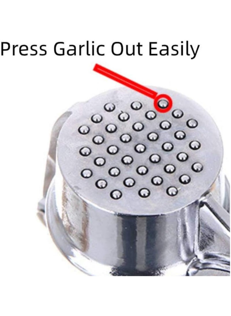 Garlic Press Crusher Mincer Kitchen Stainless Steel Garlic Smasher Squeezer Manual Press Grinding Tool Kitchen Accessories