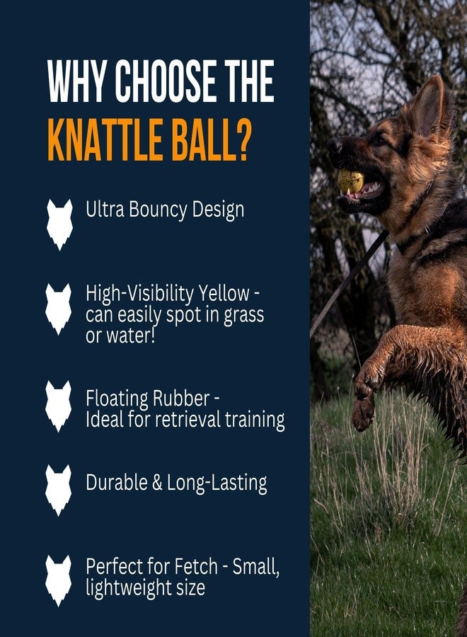 Fenrir - Dog Ball - High Bouncing Yellow Rubber for Fetch & Recall - 2.5 Inch Durable Floating Dog Toy - Water Retrievable Interactive Ball for All Breeds (Medium) - Image 3