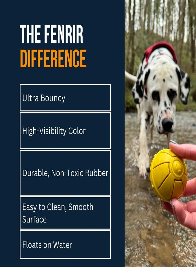 Fenrir - Dog Ball - High Bouncing Yellow Rubber for Fetch & Recall - 2.5 Inch Durable Floating Dog Toy - Water Retrievable Interactive Ball for All Breeds (Medium) - Image 5