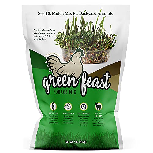 Amturf Green Feast Forage Mix, Brown,2 Lb Bag, 36018S - Image 1