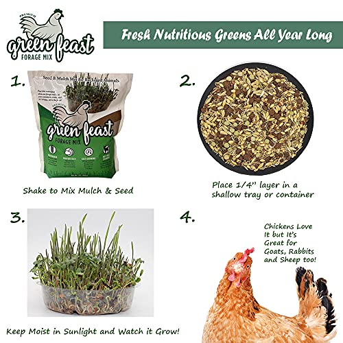 Amturf Green Feast Forage Mix, Brown,2 Lb Bag, 36018S - Image 4
