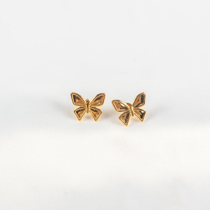 Golden Stainless Steel Earring - Image 1