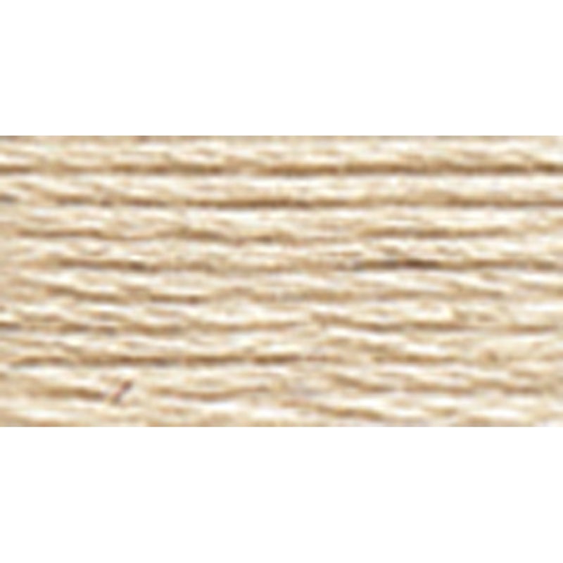 DMC 117-822 6 Strand Embroidery Cotton Floss, Light Beige Grey, 8.7-Yard