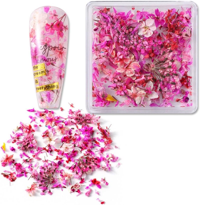 ZEYER Nail Stickers Dried Pink Flowers Nail Art Stickers Decals 3D Spring Small Flower DIY Nail Art Design Flower Nail Art Supplies Natural Floral Nail Decals for Women Girls 1 Box