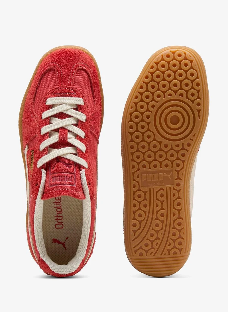 PUMA  Palermo Vintage for Men | Best Price UAE