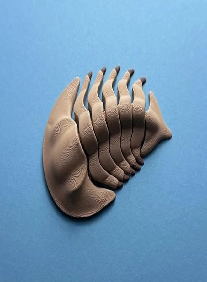3D CRAFT 3D Printed Articulated Trilobite Fossil Toy, Flexible Prehistoric Sea Creature Figure, Educational Animal Toy for Kids, Collectible Desk Decor, Multicolour - Image 1