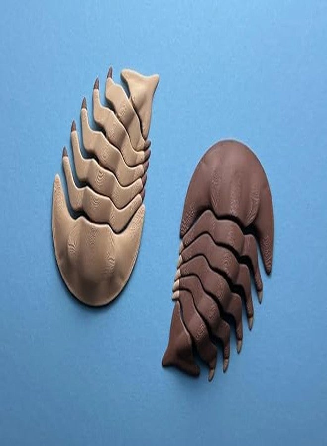 3D CRAFT 3D Printed Articulated Trilobite Fossil Toy, Flexible Prehistoric Sea Creature Figure, Educational Animal Toy for Kids, Collectible Desk Decor, Multicolour - Image 2