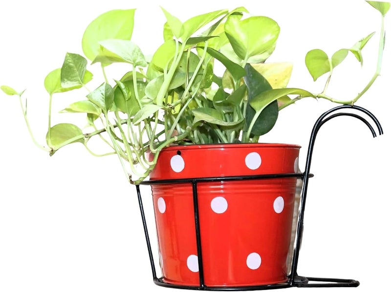 Leafy Tales حكايات ورقية حامل أصص الزهور المعلق للسور حامل نباتات أصص لديكور الشرفة المنزلية، أسود، قطعة واحدة، سلة معدنية-1 (سلة معدنية-1) - Image 1