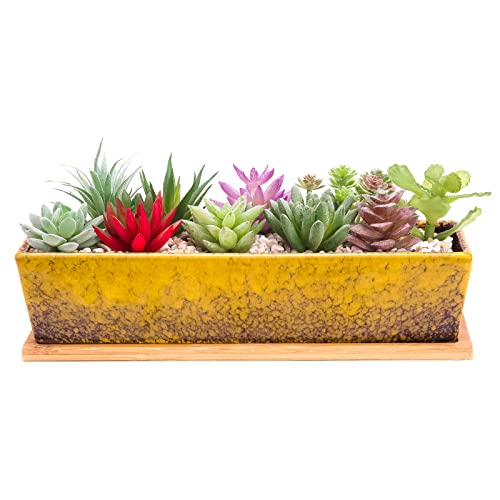 ARTKETTY Succulent Pots - Large Succulent Planter Pots with Drainage, 12 Inch Long Rectangle Bonsai Pot with Bamboo Tray Shallow Ceramic Cactus Flower Planter Window Box for Home Garden Decor (Yellow) - Image 1
