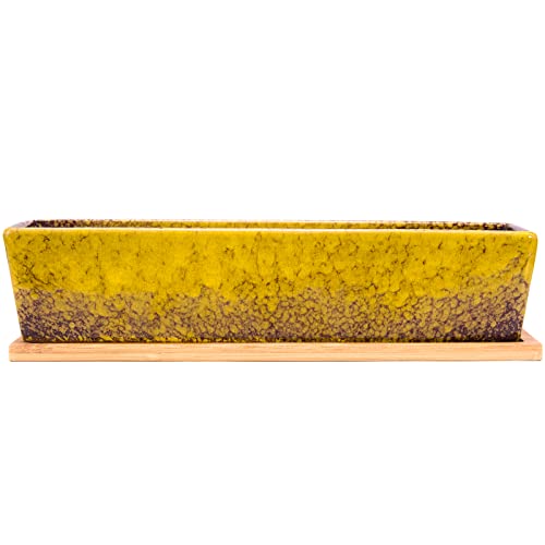 ARTKETTY Succulent Pots - Large Succulent Planter Pots with Drainage, 12 Inch Long Rectangle Bonsai Pot with Bamboo Tray Shallow Ceramic Cactus Flower Planter Window Box for Home Garden Decor (Yellow) - Image 2