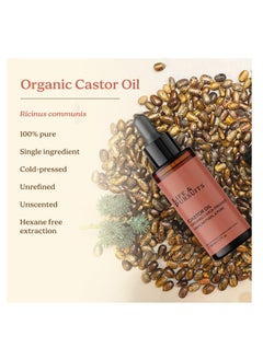 Life & Pursuits Life & Pursuits Organic Castor Oil (50 ml), 100% Pure, Cold-pressed, Hexane Free Castor Oil for Eyebrows and Eyelashes with 4 Mascara/Eyeliner Brush Applicators  - Image 2