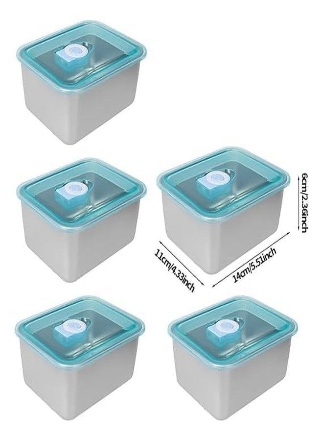 Whimsical Stainless Steel Food Storage Containers with Blue Vacuum-Seal Transparent Lids – Microwave, Freezer & Dishwasher Safe | Airtight Lunch Box Set (2) - Image 4