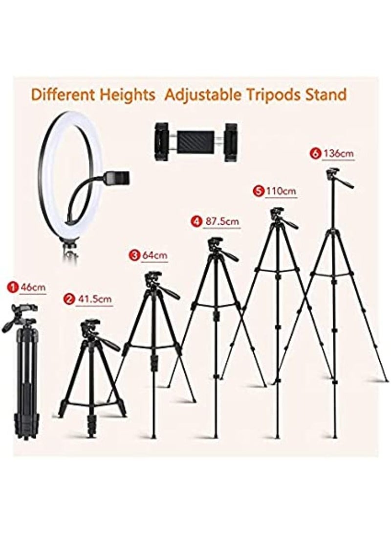 QUESERA Selfie Ring Light 10.2in with Tripod 54in & Phone Holder for Tik Tok YouTube Live Stream Makeup Eocean LED Circle Lights for Vlog Photography Light Ring for Video Recording  - Image 2