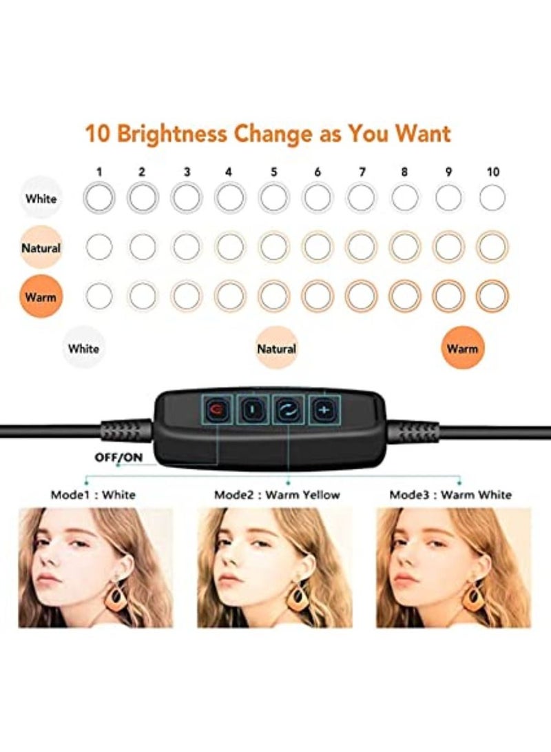 QUESERA Selfie Ring Light 10.2in with Tripod 54in & Phone Holder for Tik Tok YouTube Live Stream Makeup Eocean LED Circle Lights for Vlog Photography Light Ring for Video Recording  - Image 3