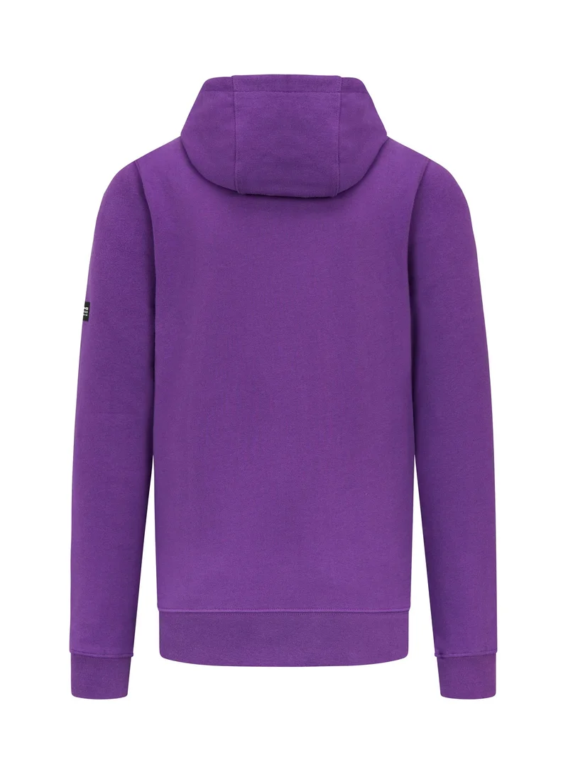 AMG Petronas Formula 1 Team  Mercedes-AMG F1 Lewis Hamilton LH44 Hoodie for Men | Best Price UAE