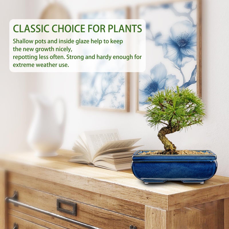 Villa Como Succulent Planters Bonsai Pots for Live Bonsaii Trees Set of 2, 8.7" Large Ceramic Shallow Pot for Succulents Indoor with Drainage Hole, Outdoor Cactus Plant Bonsai Pots, Ceramic Flower Pot - Image 4