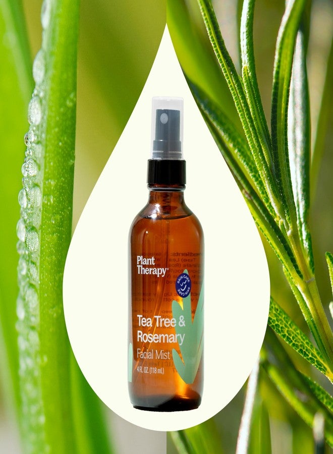 Plant Therapy Tea Tree & Rosemary Facial Mist 4 oz Instantly Hydrates & Refreshes Skin, Helps Minimize the Appearance of Redness & Irritation - Image 3