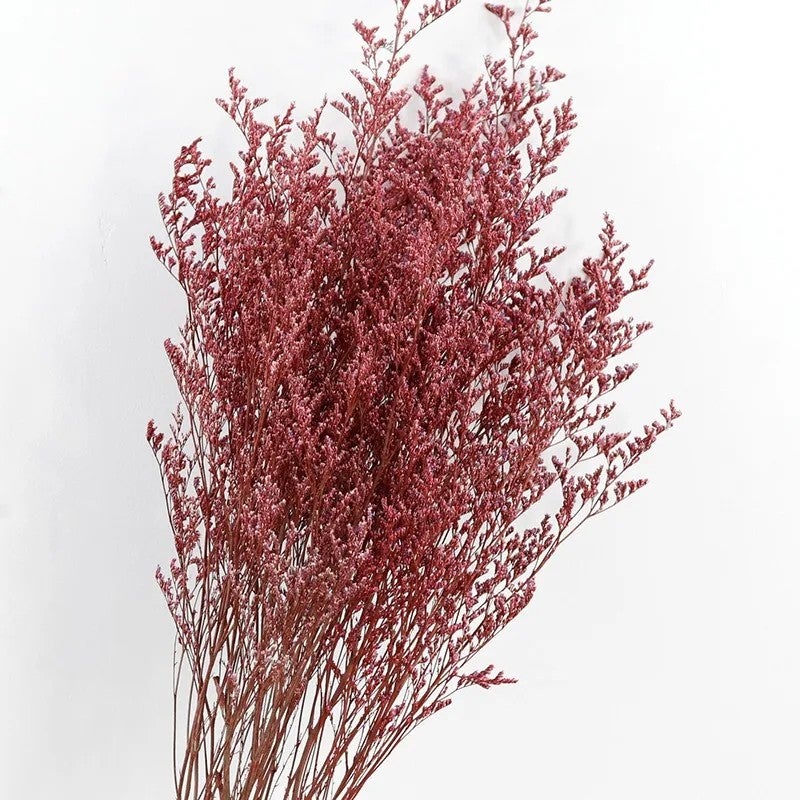 Bluejw Everlasting Colored Limonium Spray - Preserved Natural Statice Dried Flowers for Valentine's & Christmas, Dried Plants Decor - Image 1
