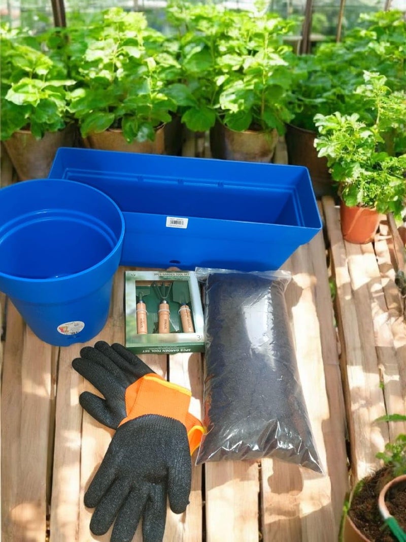 Gardening Tools Set Blue Plastic Planter Containers Orange And Black Garden Gloves With Wooden Hand Tools For Home Garden Use - Image 1
