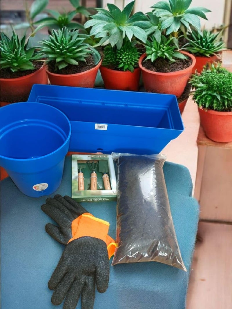 Gardening Tools Set Blue Plastic Planter Containers Orange And Black Garden Gloves With Wooden Hand Tools For Home Garden Use - Image 5