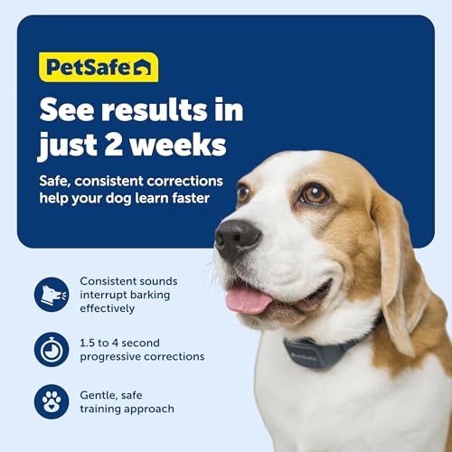 PetSafe Audible Bark Collar - Discourages Excessive Barking - SoundBurst Technology - Waterproof Design - Rechargeable Battery - Fits Dogs Over 8 lbs - Indoor & Outdoor Use - Image 4