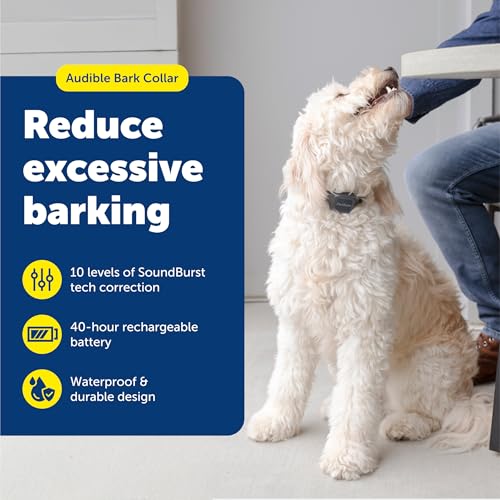 PetSafe Audible Bark Collar - Discourages Excessive Barking - SoundBurst Technology - Waterproof Design - Rechargeable Battery - Fits Dogs Over 8 lbs - Indoor & Outdoor Use - Image 2