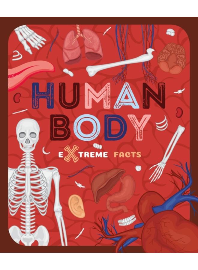 Human Body : 3 