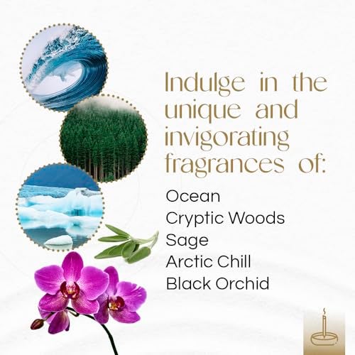 Gonesh - Extra Rich Scented Incense Sticks Variety Pack - Non-Toxic 10” Slow Burn Aromatic Sticks - Ocean, Cryptic Woods, Sage, Arctic Chill, Black Orchid - 5 Packs of 20 - Image 2
