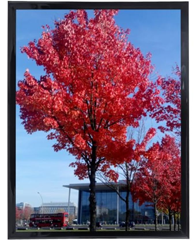12X16 PICTURE FRAME BLACK DISPLAY PICTURES 12X16 POSTER FRAME WALL SIGN POSTER MENU PHOTO FRAMES 1 PACK