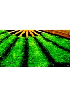 Royal King Royal Trend Half Sunflower Doormat for Home Entrance Micropoly Anti Slip Shaggy Rug for Home Living Room Bedroom Exclusive Super Soft Multipurpose Floor Mats 16x34 Inches Green  - Image 3