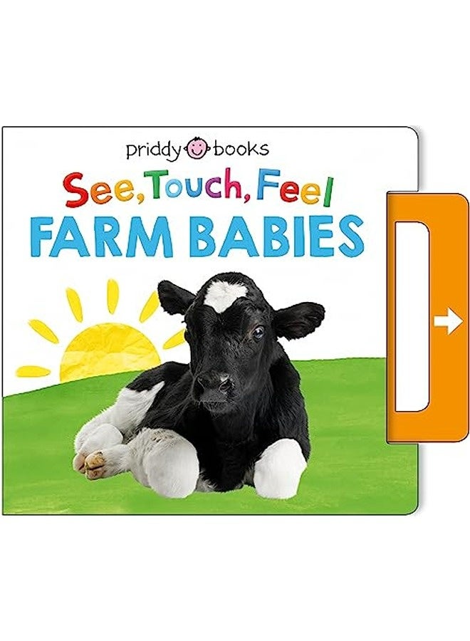 See Touch Feel Farm Babies  Paperback