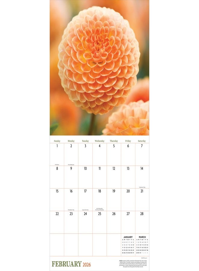 TF Publishing 2026 Flowers Wall Calendar - Large Grids for Appointments and Scheduling - Vertical Monthly Wall Calendar 2026 with Premium Gloss Paper for Home and Office Organization - 12in x 12in - Image 2